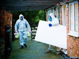 cleaning experts